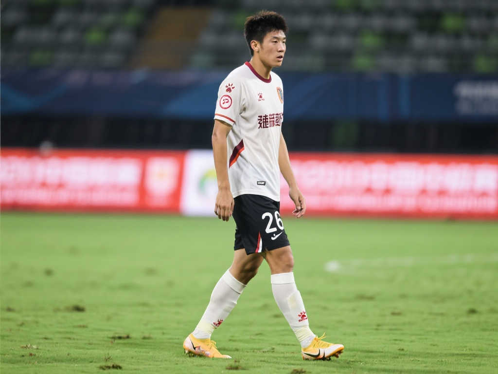 他简要说明 他简要说明