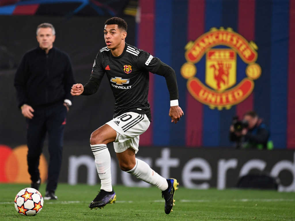 仅巩固了皇 仅巩固了皇